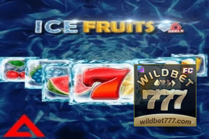 WILD BET777 ajuda online — chat de suporte no aplicativo oficial